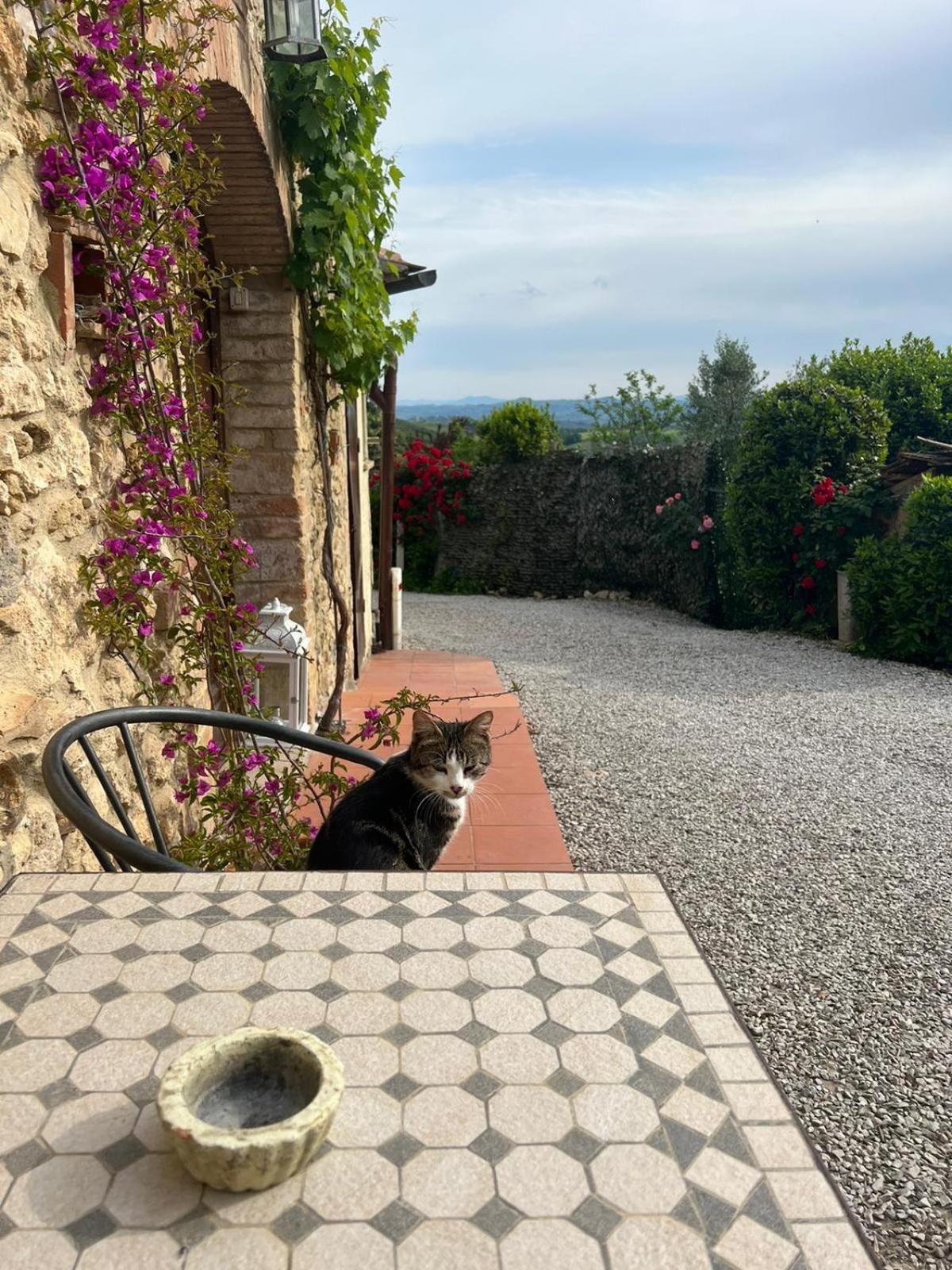 Antico Casolare Villa San Gimignano Bagian luar foto