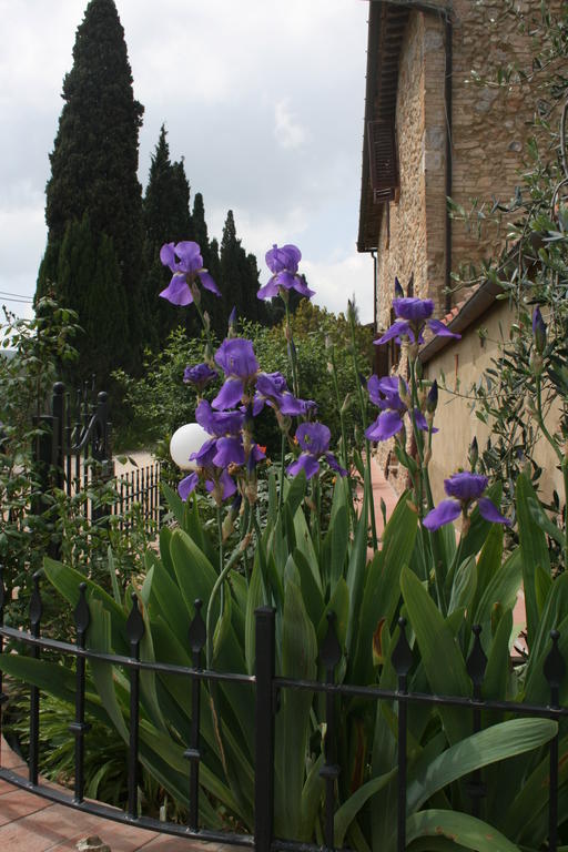 Antico Casolare Villa San Gimignano Bagian luar foto
