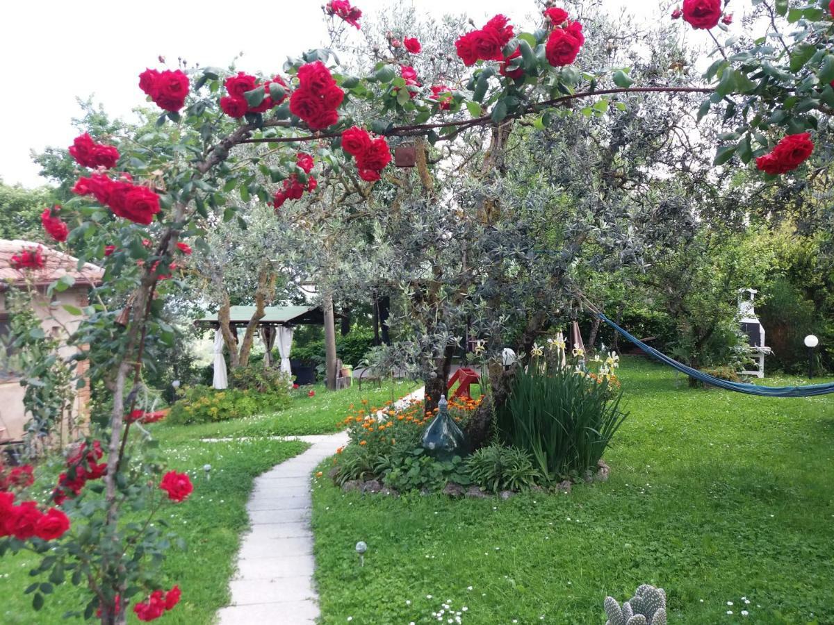 Antico Casolare Villa San Gimignano Bagian luar foto